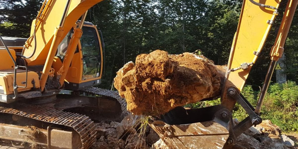 Kiralık Ekskavatör